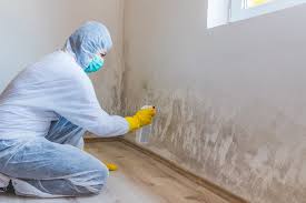 Why You Should Choose Our Mold Remediation Services in Catlin, IL